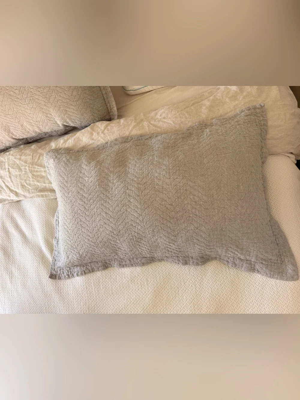 Two Restoration Hardware King Shams